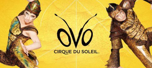 Cirque du Soleil,  OVO