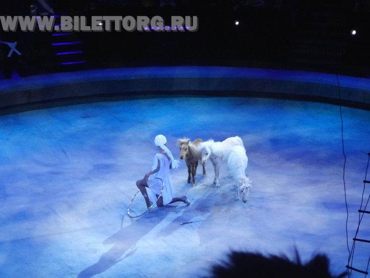 Елка в цирке на проспекте Вернадского, шоу "Вещий сон", фото 1