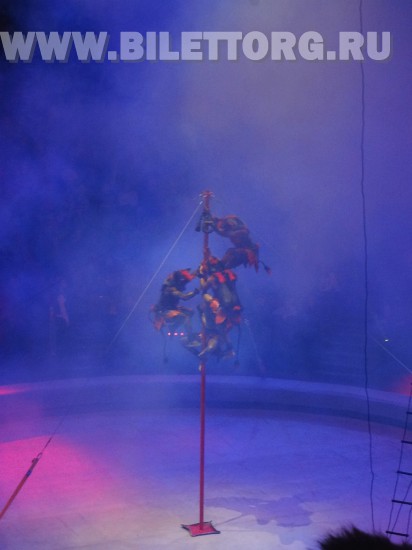Елка в цирке на проспекте Вернадского, шоу "Вещий сон", фото 5