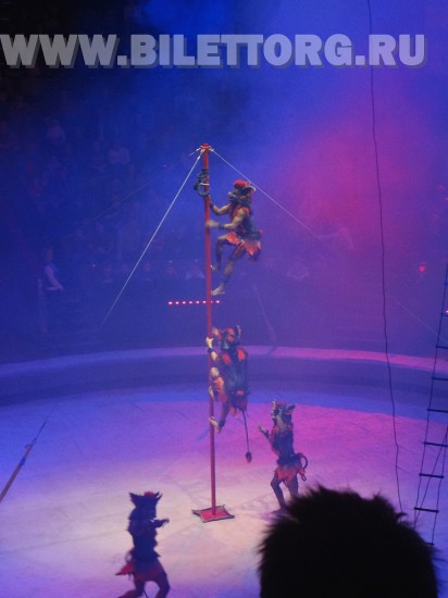 Елка в цирке на проспекте Вернадского, шоу "Вещий сон", фото 9
