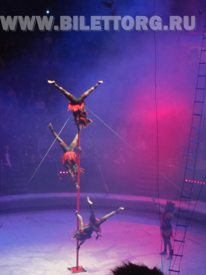 Елка в цирке на проспекте Вернадского, шоу "Вещий сон", фото 11