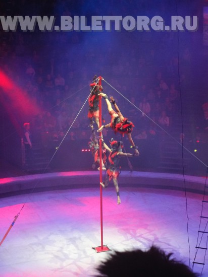 Елка в цирке на проспекте Вернадского, шоу "Вещий сон", фото 13