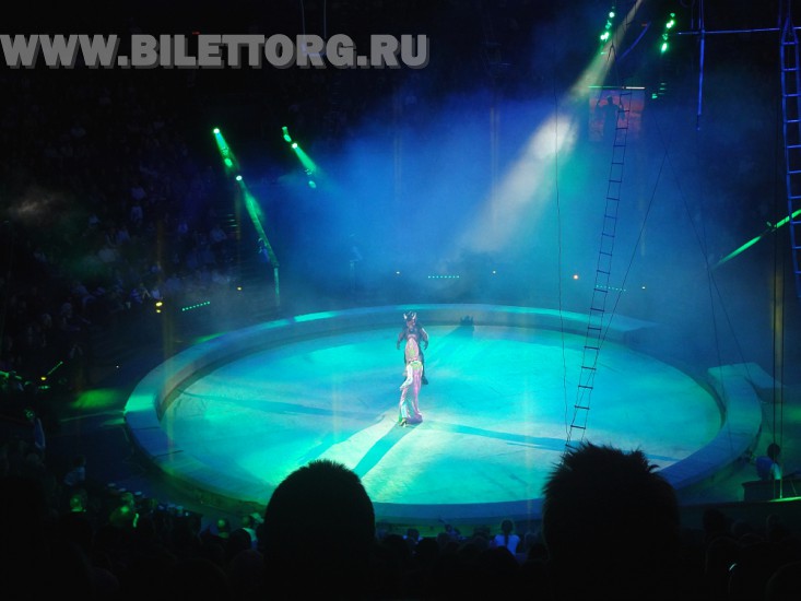 Елка в цирке на проспекте Вернадского, шоу "Вещий сон", фото 15