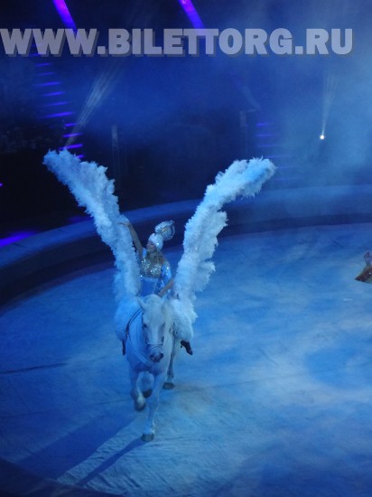 Елка в цирке на проспекте Вернадского, шоу "Вещий сон", фото 22