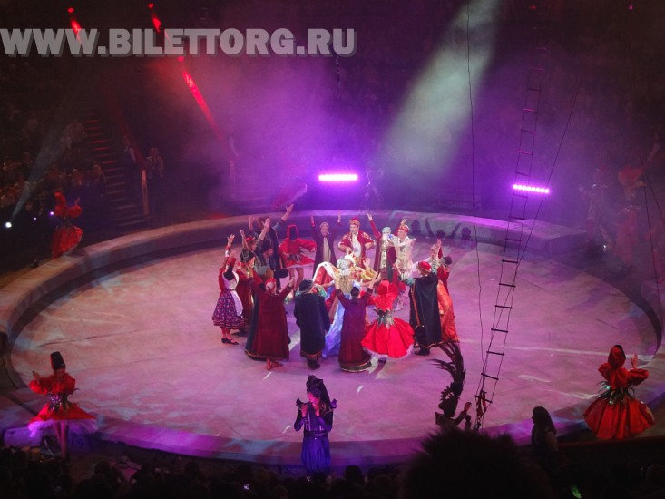 Елка в цирке на проспекте Вернадского, шоу "Вещий сон", фото 27