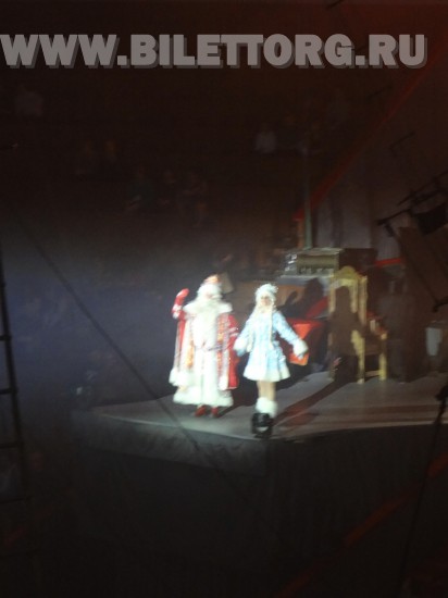 Елка в цирке на проспекте Вернадского, шоу "Вещий сон", фото 33