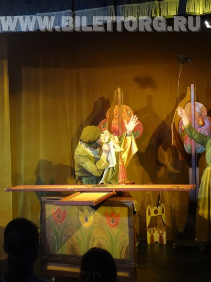 Спектакль "Принцесса Крапинка" в Московском Областном Театре Кукол, фото 18