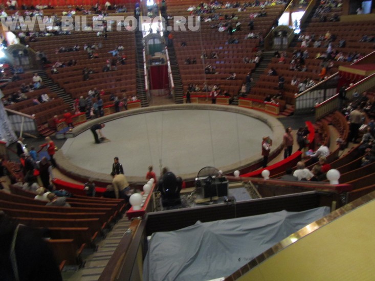 Зрительный зал Цирка на Вернадского 