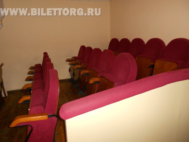 В зале Театра им. Пушкина - фото 8 (амфитеатр)