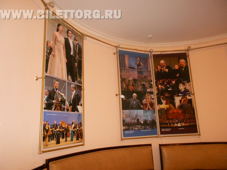 В Концертном зале им. Чайковского - фото 12