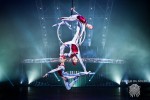    -  Quidam