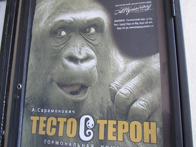 Тестостерон