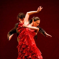 Фестиваль Flamenco AlterNativo