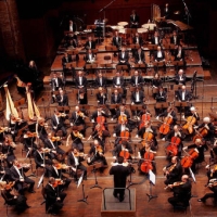 Концерт Национального оркестра Капитолия Тулузы