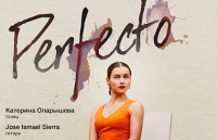 Perfecto. Flamenco performance