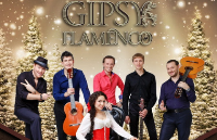 Gipsy Flamenco