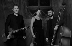 Swing modern project