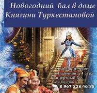Новогодний бал в доме Княгини Туркестановой