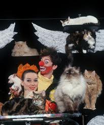Клоуны и кошки