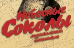Небесные соколы